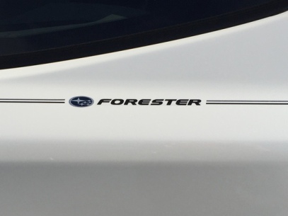 Subaru Forester,vinyl pinstripesauto,car,vehicle,pinstripe,pinstripes,stripes,small,logo,logos,small,decal,decals,emblem,emblems,graphic,graphics