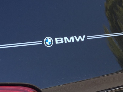 BMW 1 series, 2 series, 3 series, 4 series, 5 series, 6 series, vinyl pinstripe emblem stripe logo decal graphic emblem logo vinyl decal pinstripe graphic sticker stripe