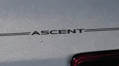 Subaru Outback Forester Legacy Impreza emblem logo vinyl decal pinstripe graphic