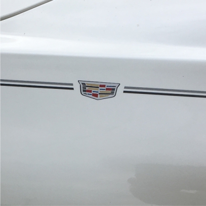 Honda Pilot Accord Civic CRV CR-V Odyssey Pilot Ridgeline Fit HRV HR-V Crosstour vinyl pinstripe emblem logo decal graphic stripe sticker kit