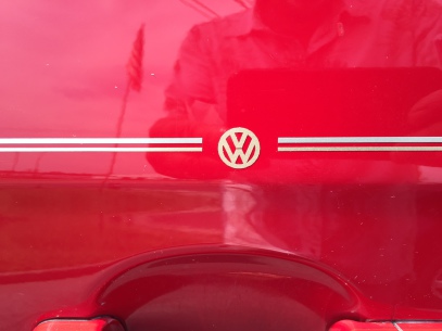 VW Volkswagon Jetta Passat Beetle vinyl pinstripe emblem stripe logo decal graphic