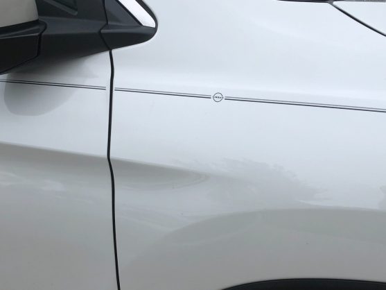 Nissan vinyl logo emblem decal pinstripe kit Nissan vinyl logo emblem decal pinstripe kit