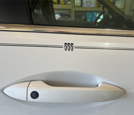 Buick vinyl logo emblem decal pinstripe kit Buick vinyl logo emblem decal pinstripe kit