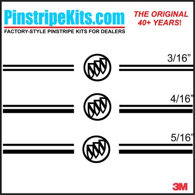 Buick vinyl logo emblem decal pinstripe kit Buick vinyl logo emblem decal pinstripe kit