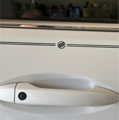 Buick vinyl logo emblem decal pinstripe kit Buick vinyl logo emblem decal pinstripe kit